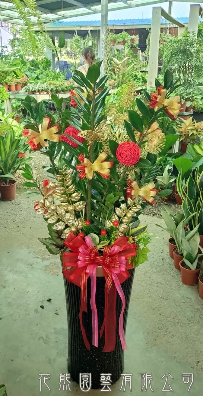 落地型金錢樹開幕祝賀盆栽(限高雄地區)