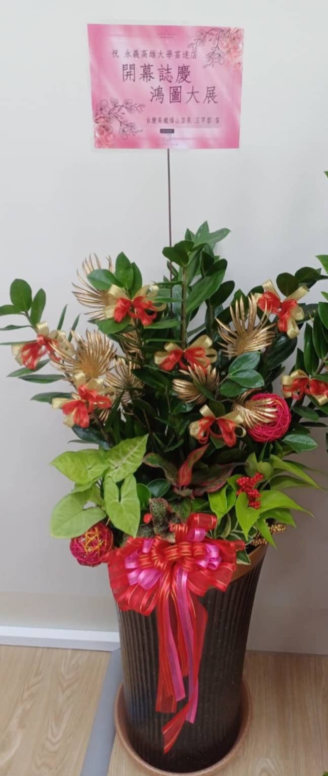 落地型金錢樹開幕祝賀盆栽(限高雄地區)
