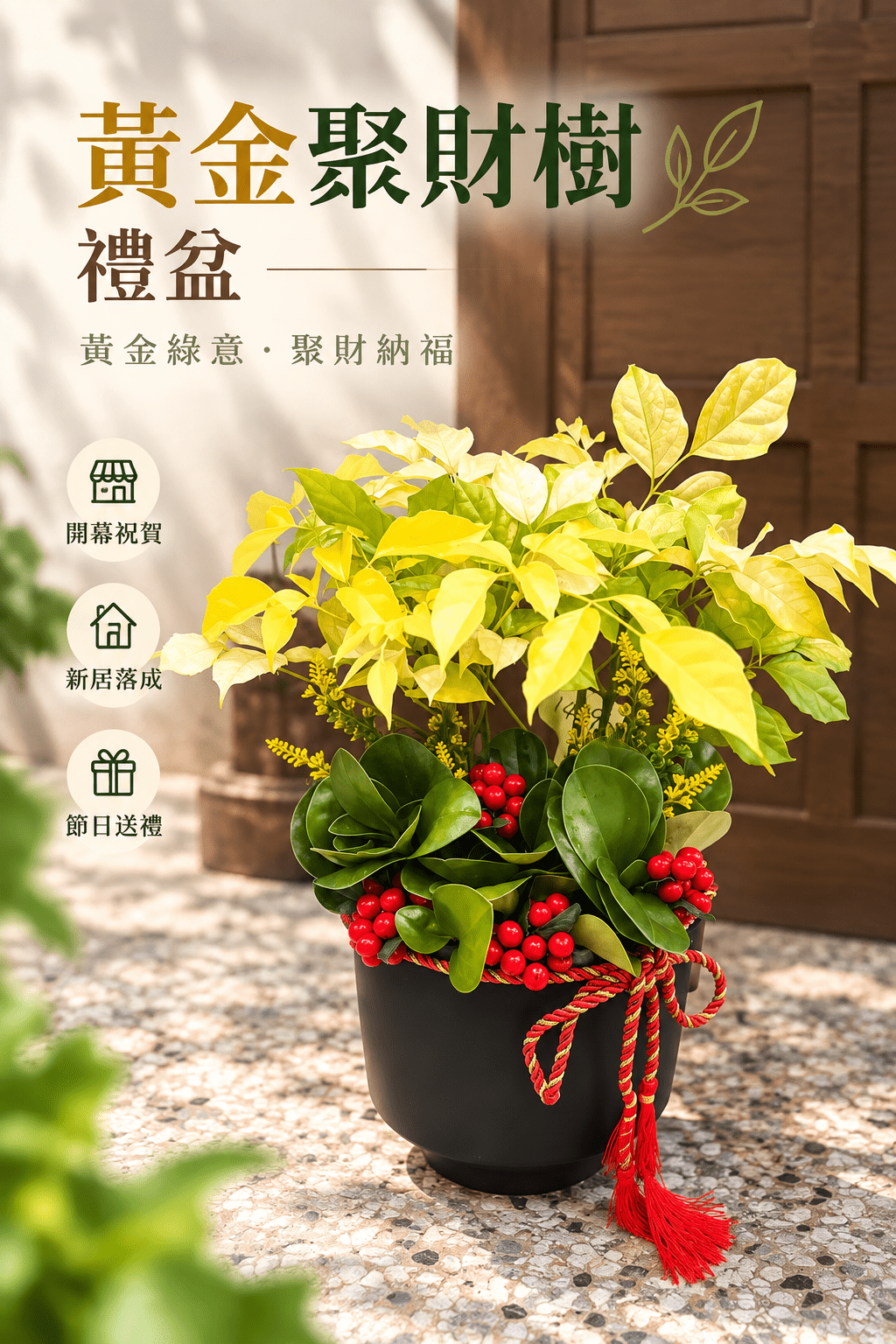 黃金聚財樹禮盆(限高雄地區)