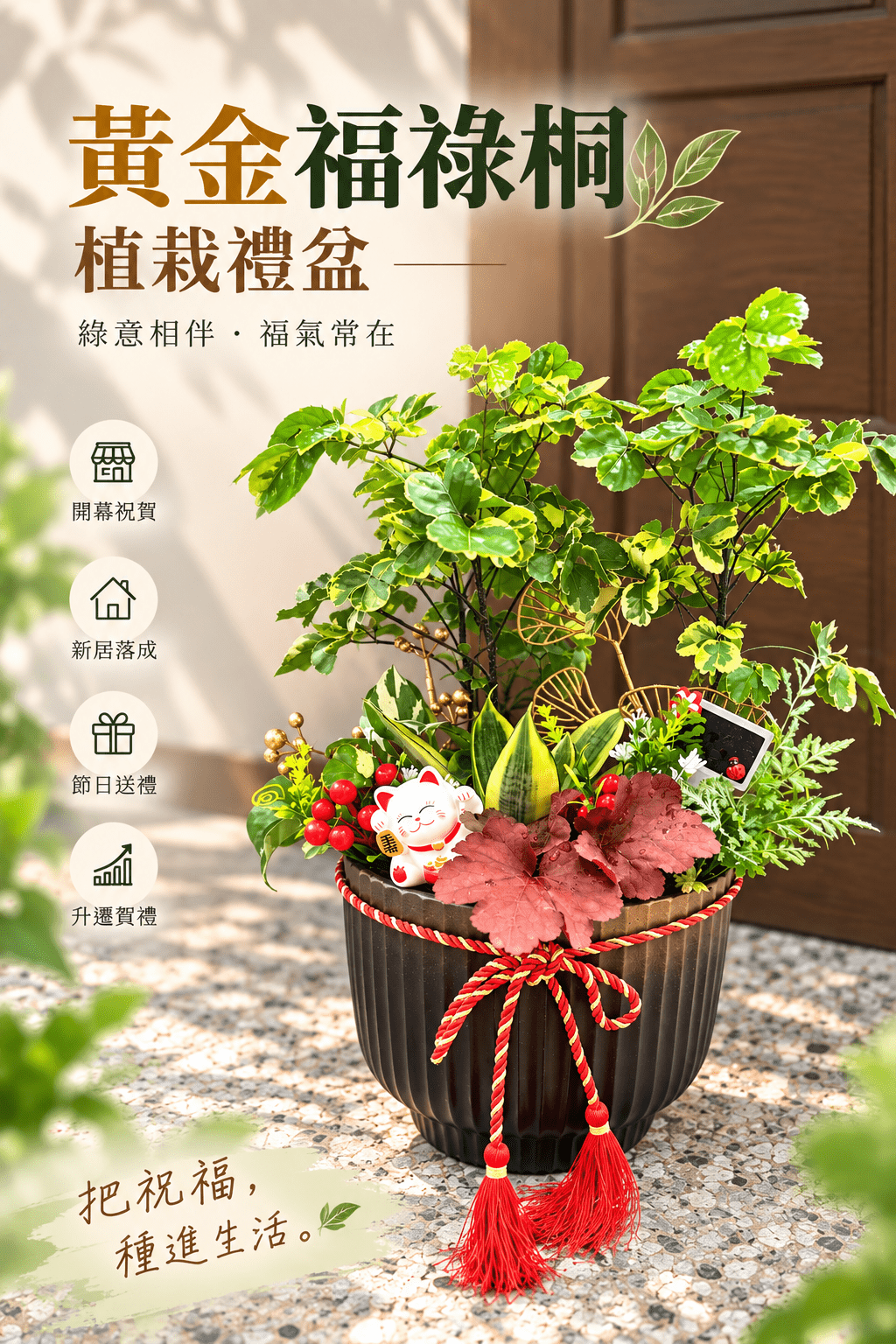 黃金福祿桐植栽禮盆(限高雄地區)