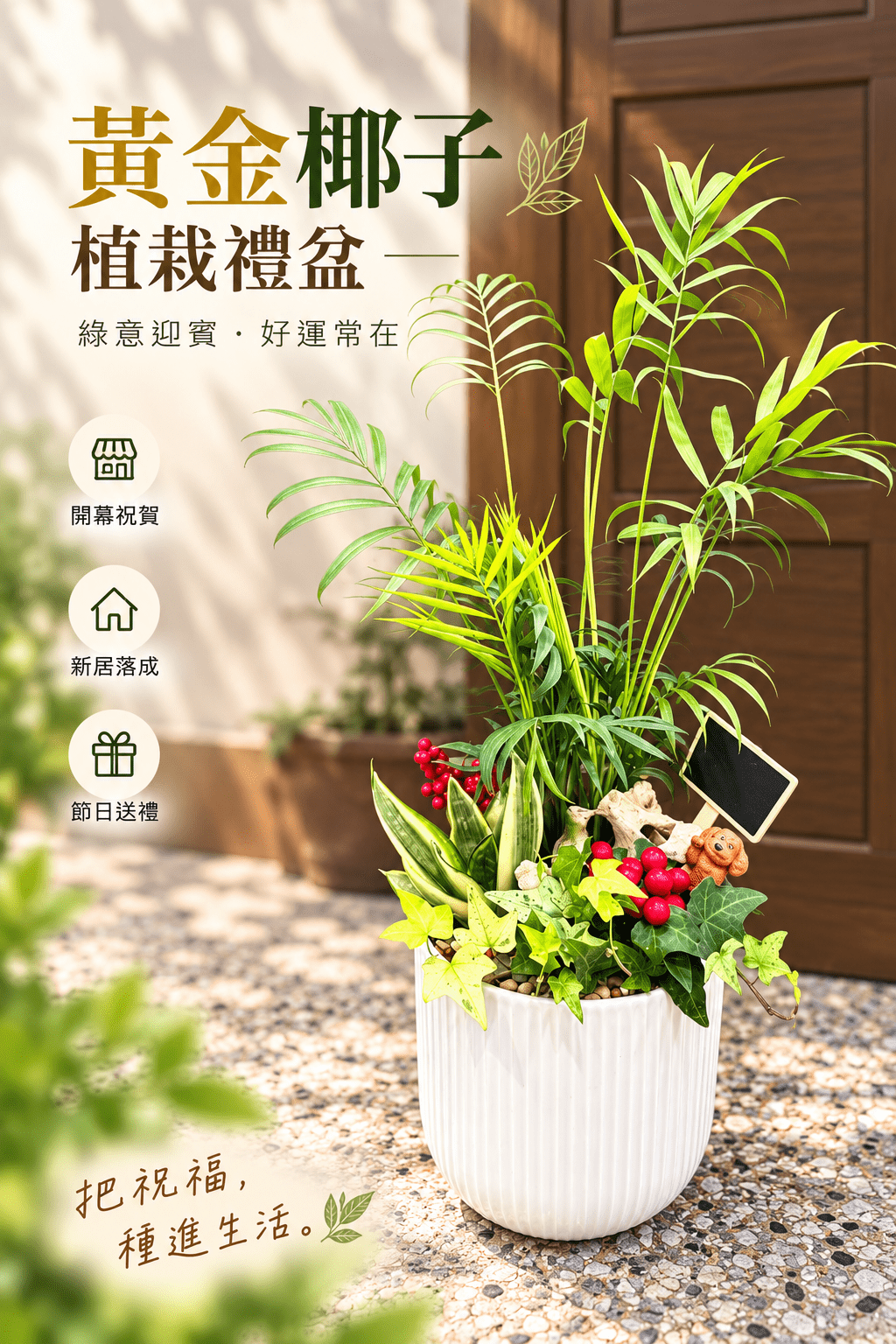黃金椰子植栽禮盆