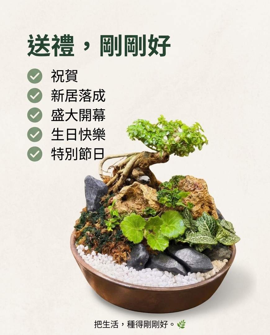 綠植微景觀|下單前須先詳談 (限高雄地區)